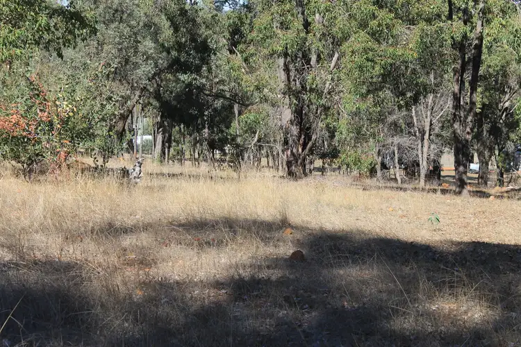 Seventh view of Homely land listing, Lot 57, 579 Dinsdale Road, Wooroloo WA 6558