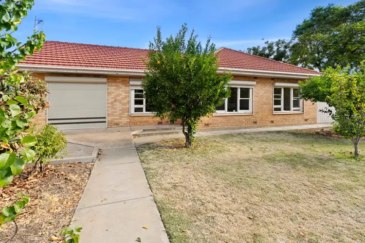 Second view of Homely house listing, 165 Sixteenth Street, Renmark SA 5341