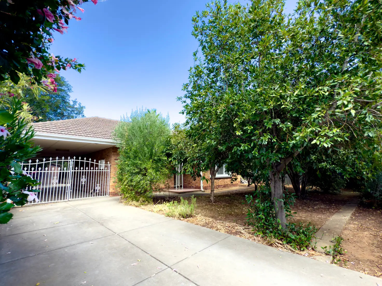 Main view of Homely house listing, 117 Marian Road, Firle SA 5070