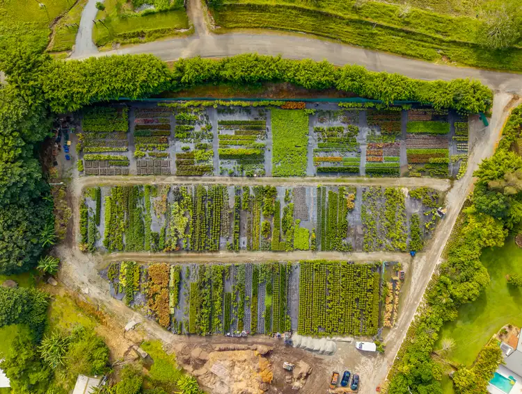 Third view of Homely rural property listing, 69 Currey Road, Wongawallan QLD 4210