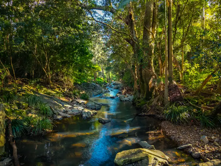 Fourth view of Homely rural property listing, 69 Currey Road, Wongawallan QLD 4210