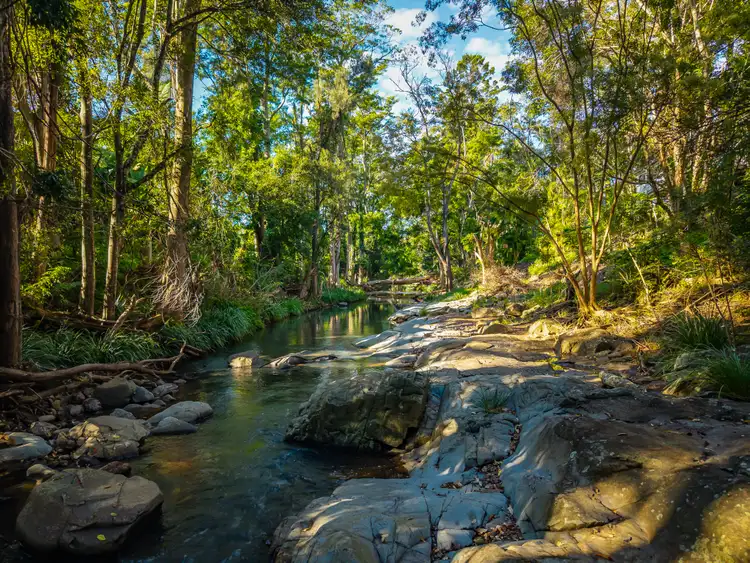 Fifth view of Homely rural property listing, 69 Currey Road, Wongawallan QLD 4210