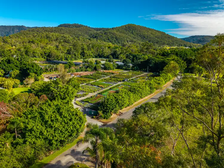 Seventh view of Homely house listing, 69 Currey Road, Wongawallan QLD 4210