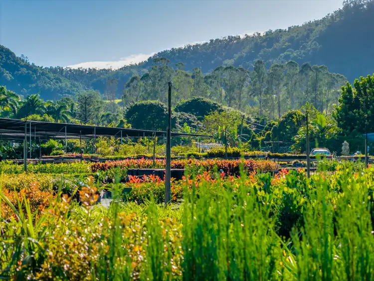 Seventh view of Homely rural property listing, 69 Currey Road, Wongawallan QLD 4210