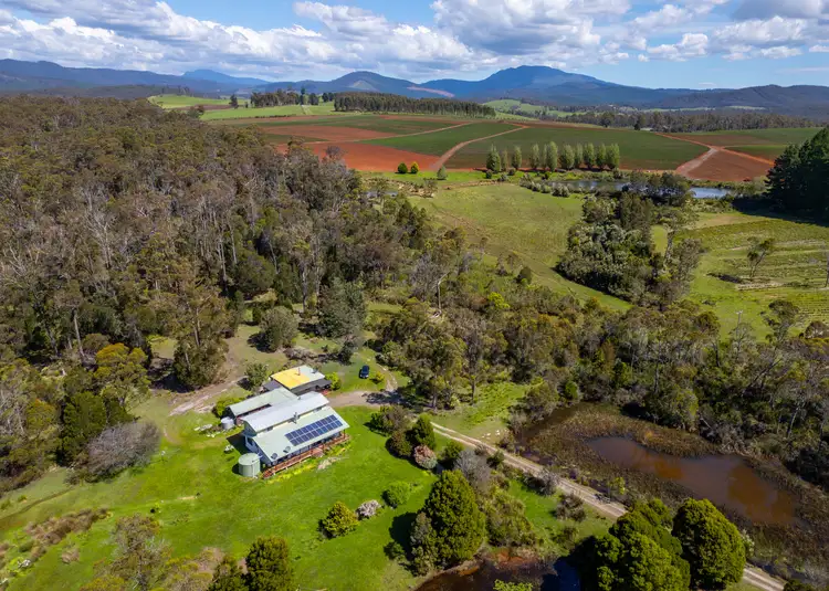 338 Gillespies Rd, Nabowla TAS 7260