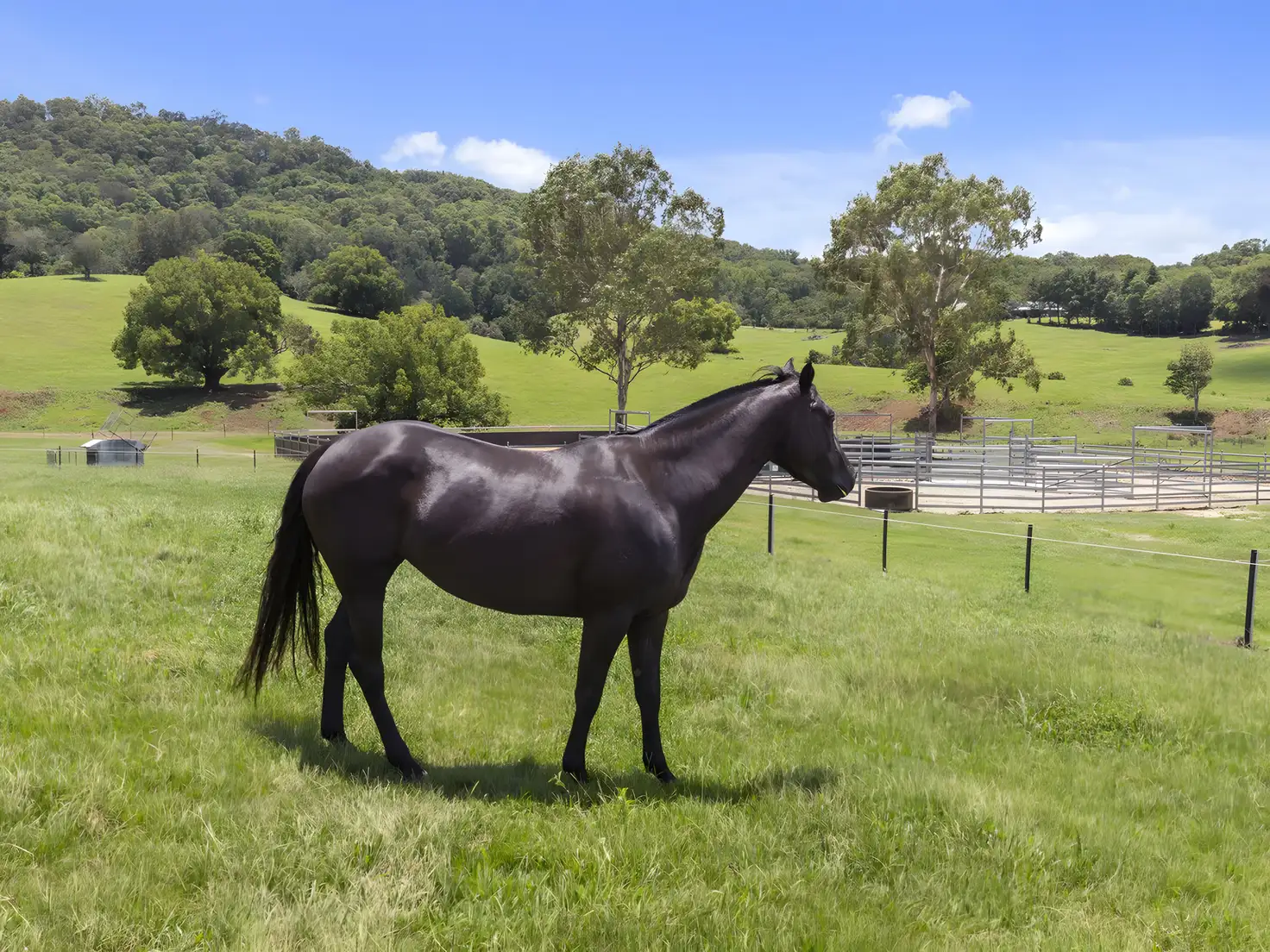 Main view of Homely rural property listing, 32 Kellys Road, Eungella NSW 2484