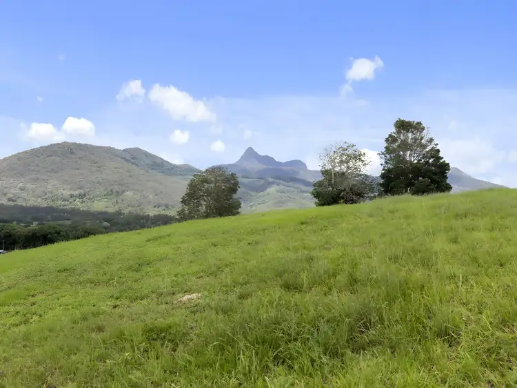 Second view of Homely rural property listing, 32 Kellys Road, Eungella NSW 2484