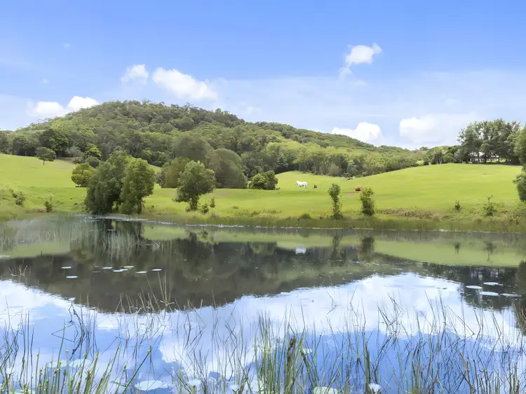 Third view of Homely rural property listing, 32 Kellys Road, Eungella NSW 2484