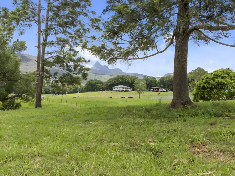 Third view of Homely rural property listing, 32 Kellys Road, Eungella NSW 2484