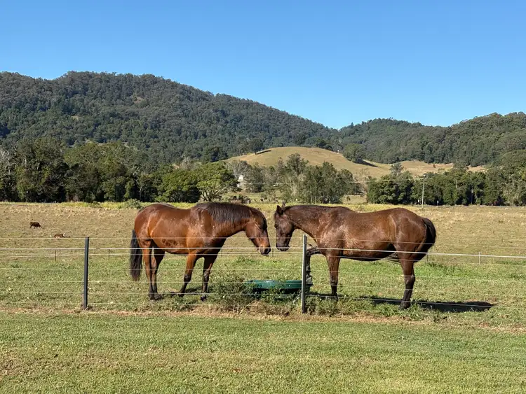 Sixth view of Homely rural property listing, 32 Kellys Road, Eungella NSW 2484