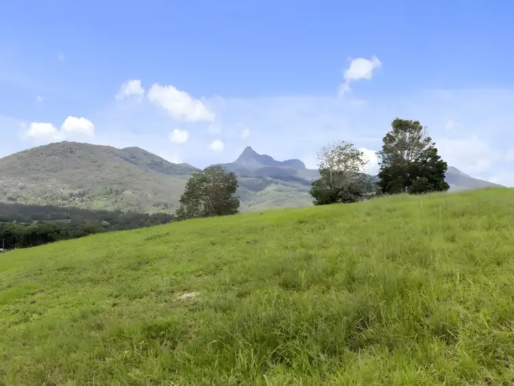 Seventh view of Homely rural property listing, 32 Kellys Road, Eungella NSW 2484