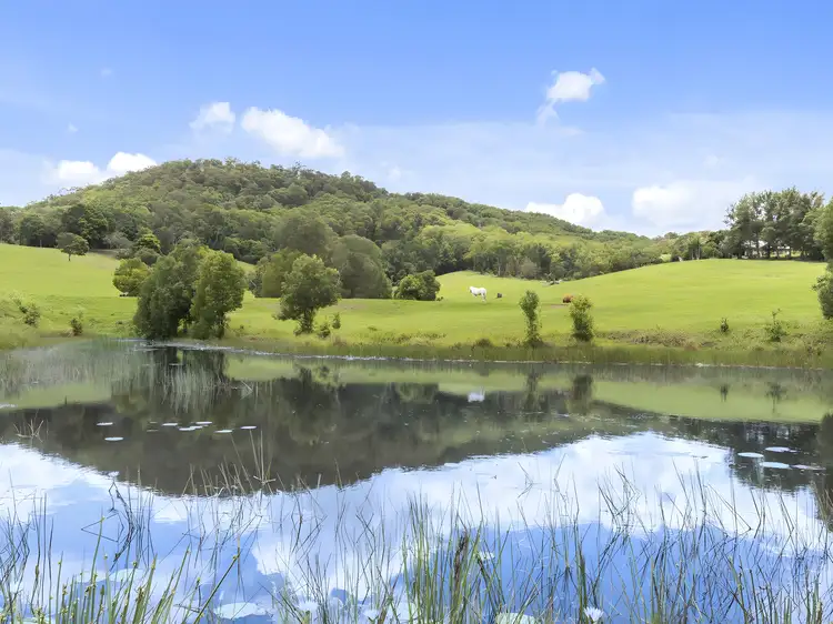 Seventh view of Homely rural property listing, 32 Kellys Road, Eungella NSW 2484