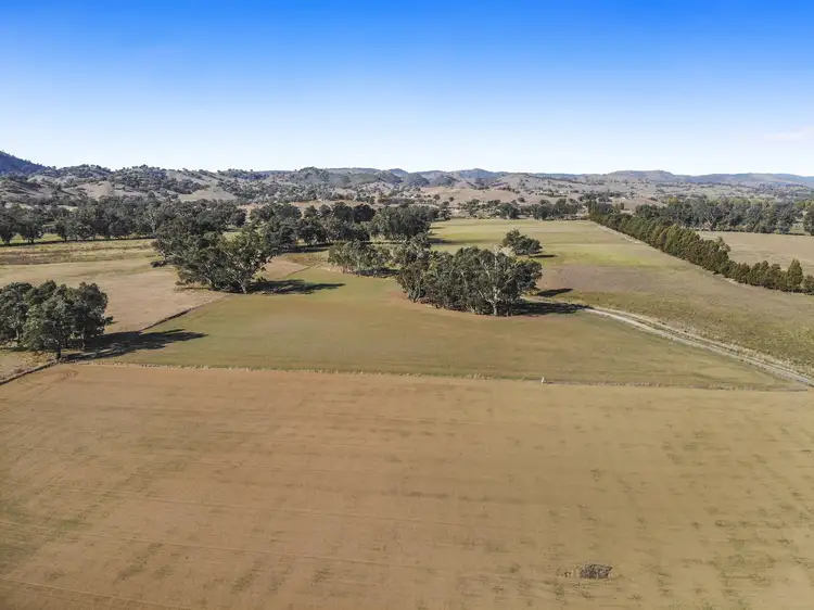 Seventh view of Homely rural property listing, 289 Gocup Farms Road, Tumut NSW 2720