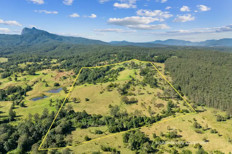 1010 Brays Creek Road, Brays Creek NSW 2484