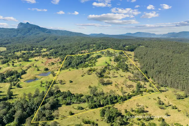 1010 Brays Creek Road, Brays Creek NSW 2484