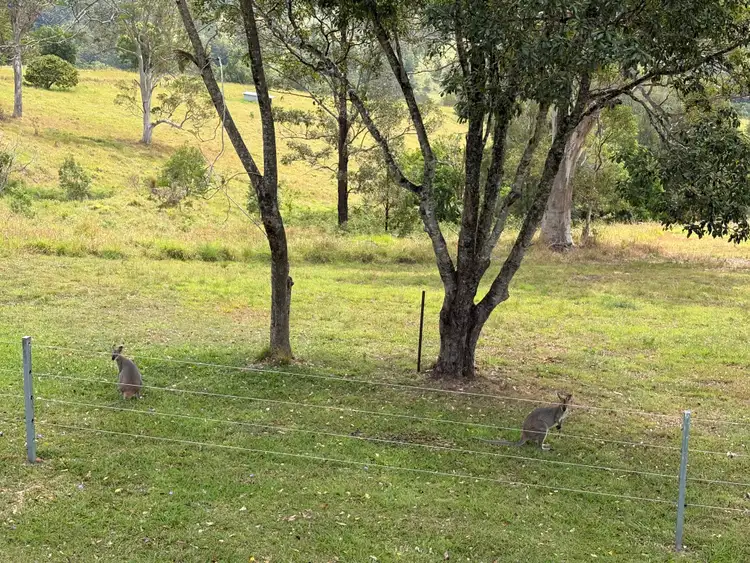 Third view of Homely rural property listing, 1010 Brays Creek Road, Brays Creek NSW 2484