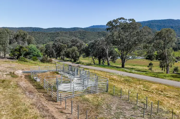 Seventh view of Homely rural property listing, 24 Red Box Lane, Bonnie Doon VIC 3720