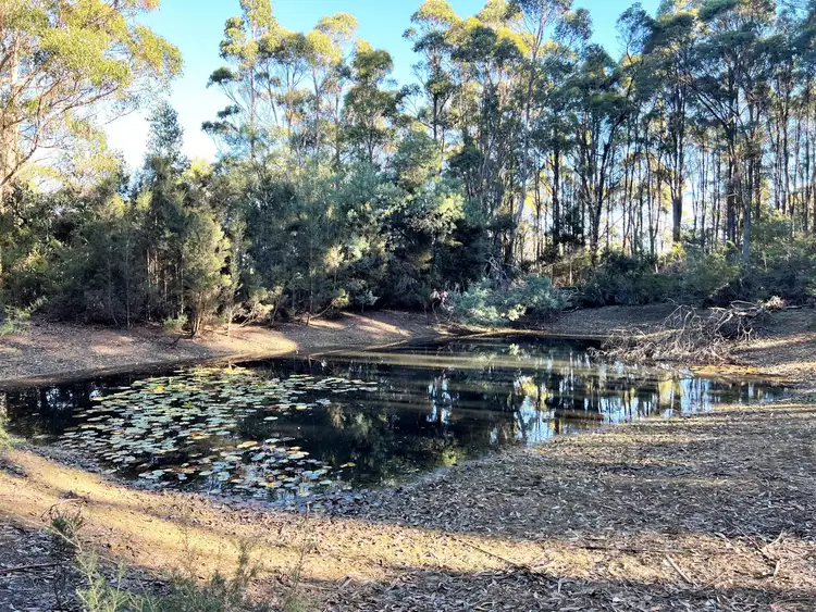 2204 East Tamar Highway, Mount Direction TAS 7252