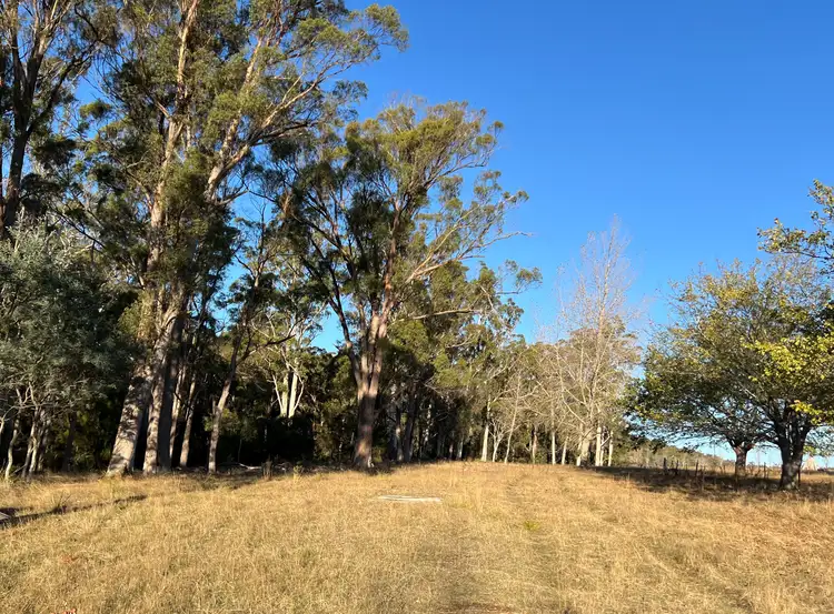 Fifth view of Homely house listing, 2204 East Tamar Highway, Mount Direction TAS 7252