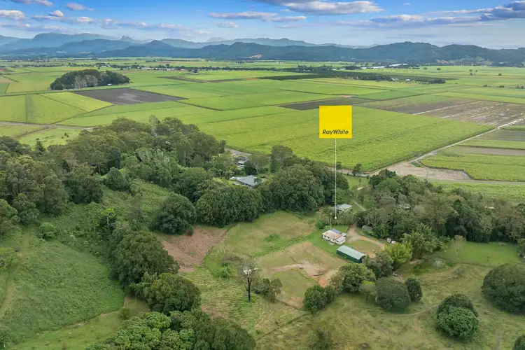 Second view of Homely rural property listing, 318 Eviron Road, Eviron NSW 2484