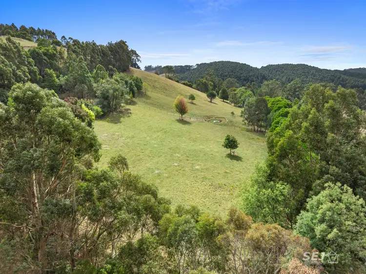 Fourth view of Homely rural property listing, 325 One Chain Road, Kardella VIC 3951