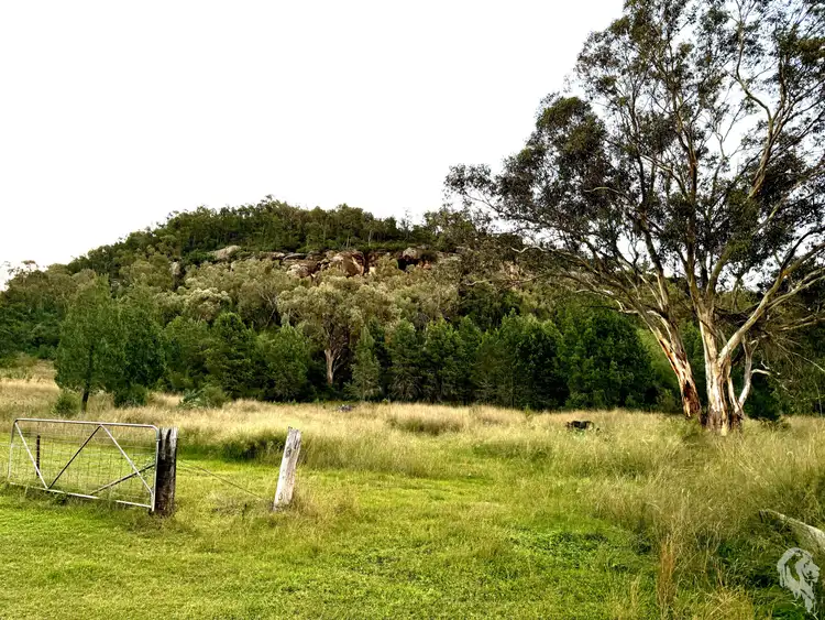 Fifth view of Homely rural property listing, 2083 Kaputar Road, Narrabri NSW 2390