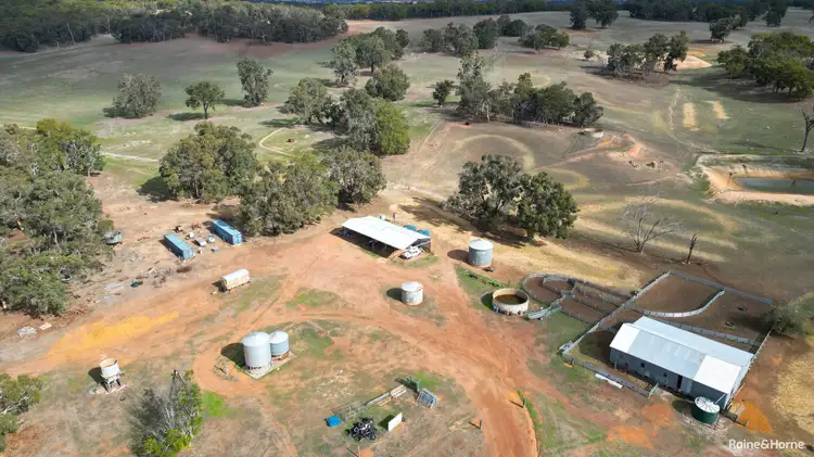 Third view of Homely rural property listing, 2882 Trigwell Bridge Road, Trigwell WA 6244