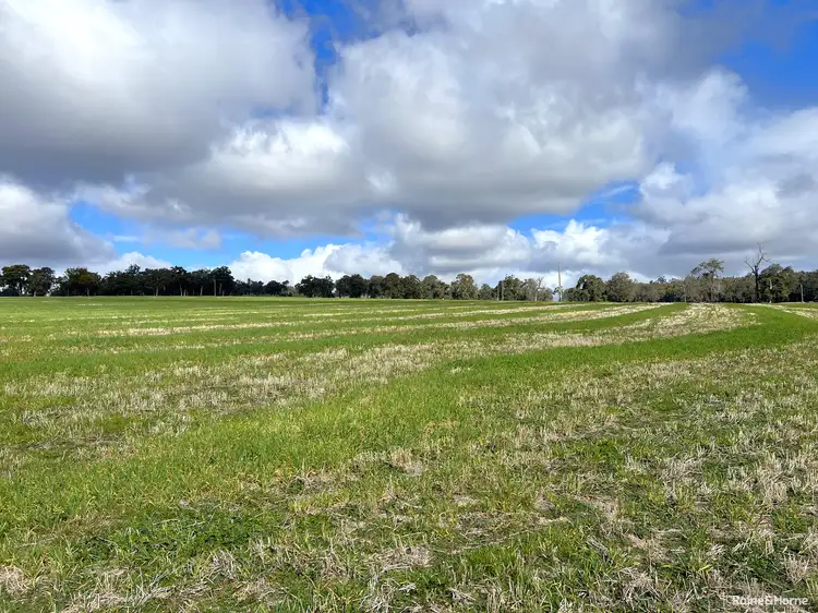 Fifth view of Homely rural property listing, 2882 Trigwell Bridge Road, Trigwell WA 6244