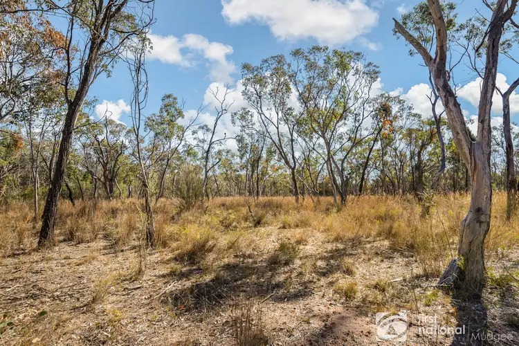 Fifth view of Homely rural property listing, 162 Cypress Drive, Mudgee NSW 2850