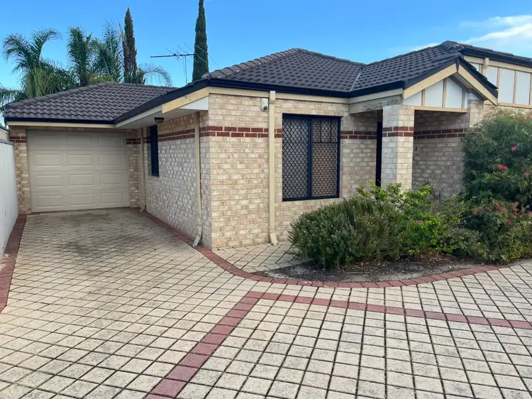 Main view of Homely villa listing, 3/23 Campion Avenue, Balcatta WA 6021