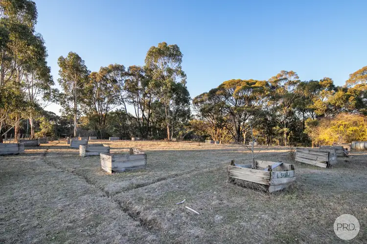 Sixth view of Homely land listing, 75 Petticoat Road, Cabbage Tree VIC 3364
