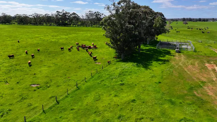 Seventh view of Homely rural property listing, 393 Yalyalup Road (Hithergreen), Busselton WA 6280