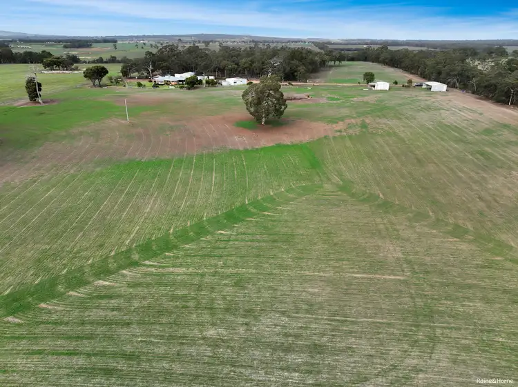 Main view of Homely house listing, 240 Jutland Road, Mount Barker WA 6324