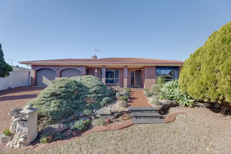 3 Darryl Avenue, Athelstone SA 5076
