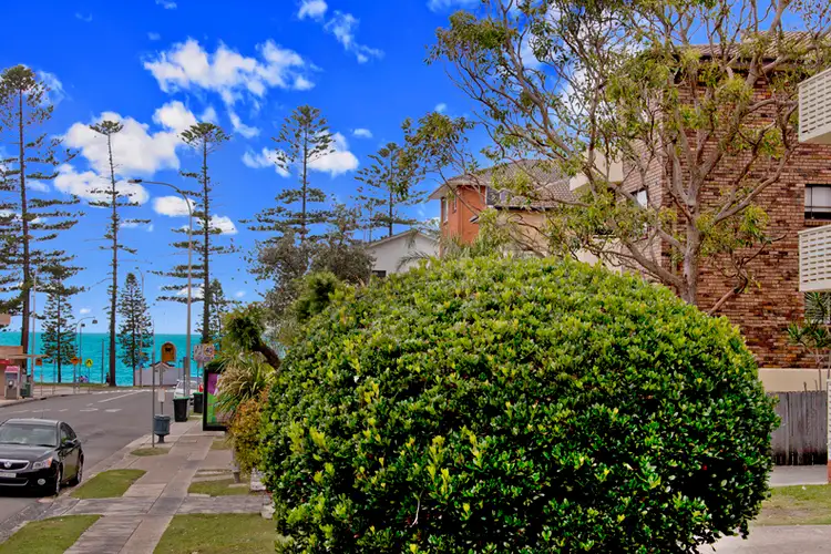 Third view of Homely apartment listing, 12/93 Howard Avenue, Dee Why NSW 2099