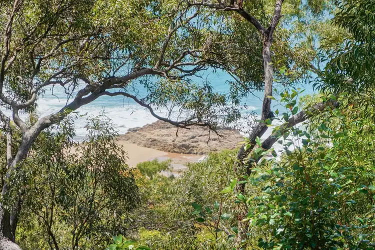 51 Bloodwood Avenue, Agnes Water QLD 4677