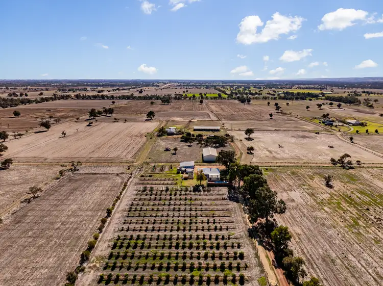 Sixth view of Homely rural property listing, 140 St Helena Road, Waterloo WA 6228