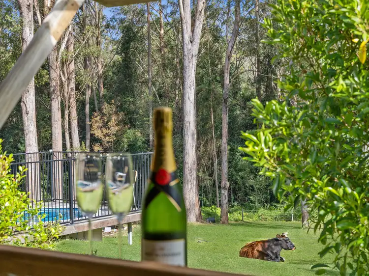 Fourth view of Homely house listing, 122 Morrisons Road, Peachester QLD 4519