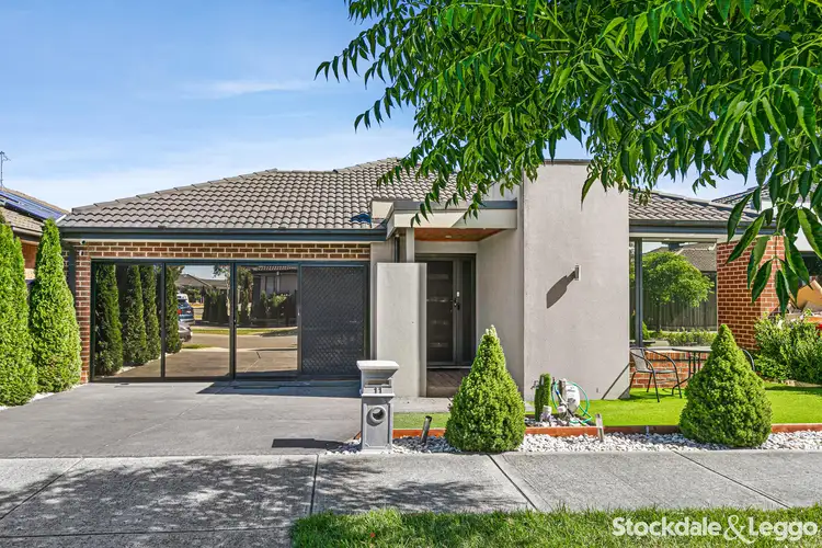 11 Angove Street, Craigieburn VIC 3064