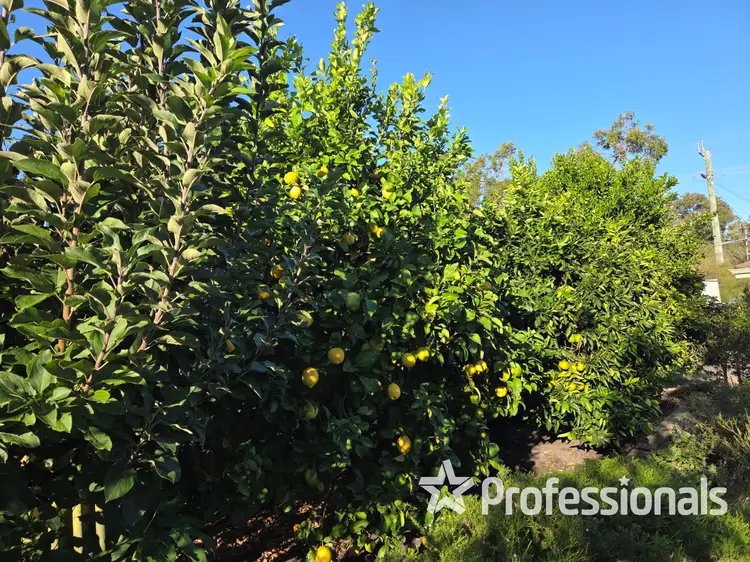 138 Lucy Victoria Avenue, Australind WA 6233