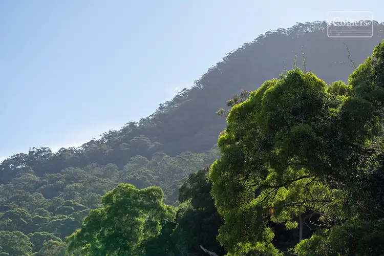 Third view of Homely land listing, LOT 8, 111 Staff Road, Cordeaux Heights NSW 2526