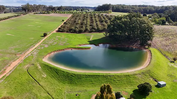 Third view of Homely rural property listing, 328 Middlesex Road (Middlesex), Manjimup WA 6258