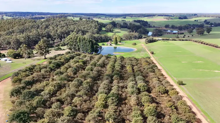 Seventh view of Homely rural property listing, 328 Middlesex Road (Middlesex), Manjimup WA 6258