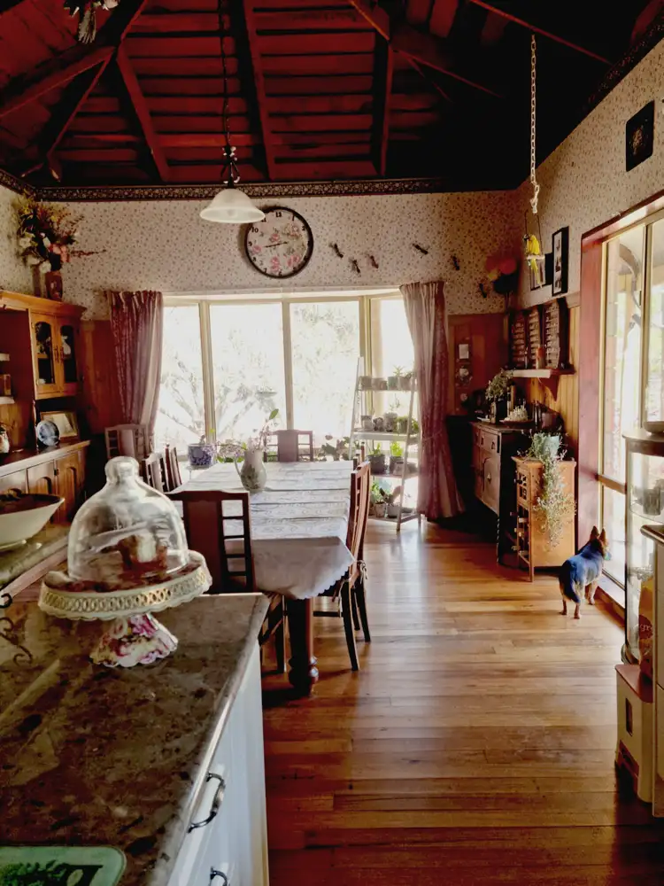 Sixth view of Homely house listing, 8 Berriman Drive, Congo NSW 2537
