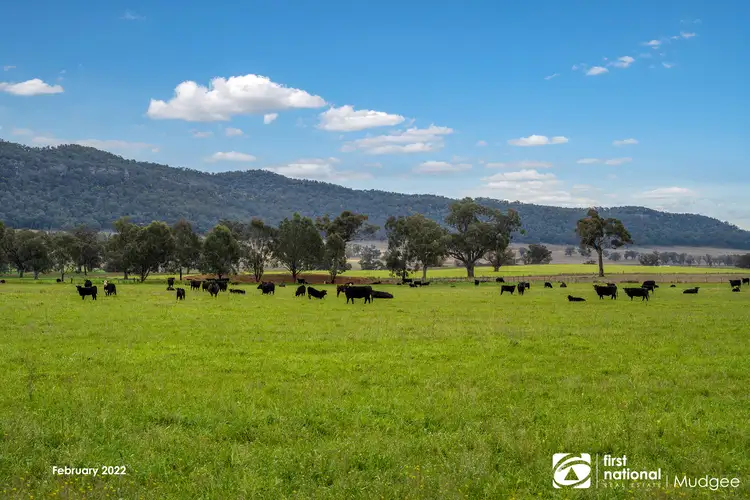 7458 Bylong Valley Way, Bylong NSW 2849