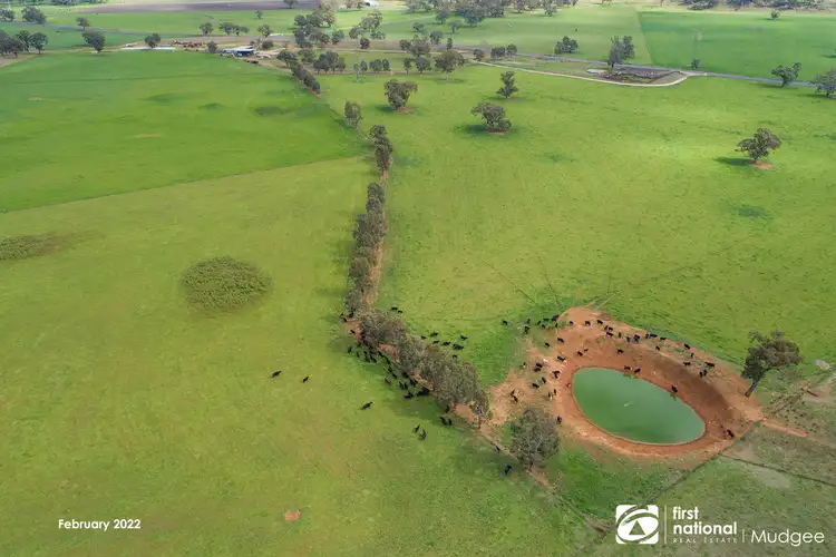 Third view of Homely rural property listing, 7458 Bylong Valley Way, Bylong NSW 2849