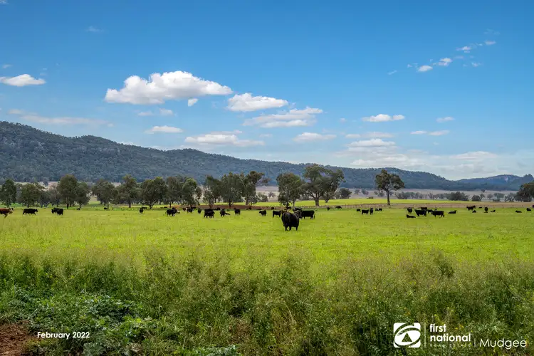 Fourth view of Homely rural property listing, 7458 Bylong Valley Way, Bylong NSW 2849