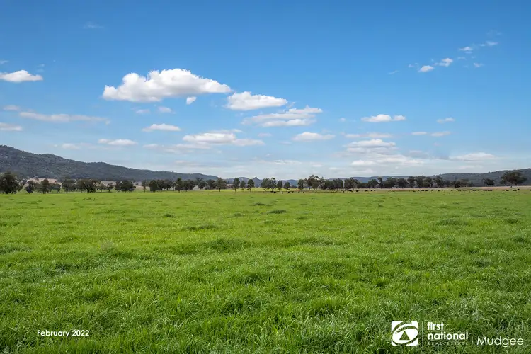Sixth view of Homely rural property listing, 7458 Bylong Valley Way, Bylong NSW 2849