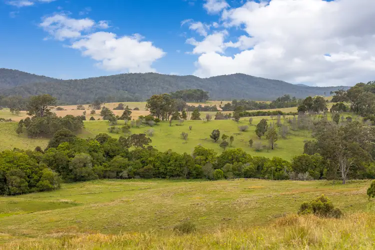 Main view of Homely rural property listing, 87 Norries Road, Bunyah NSW 2429