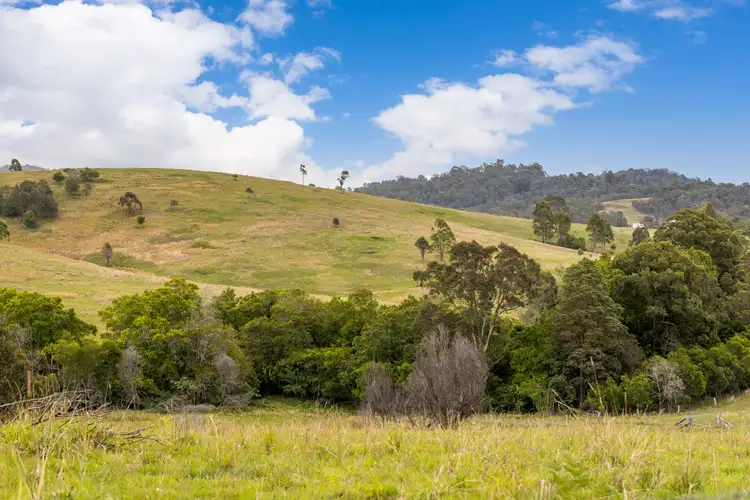 Fifth view of Homely rural property listing, 87 Norries Road, Bunyah NSW 2429